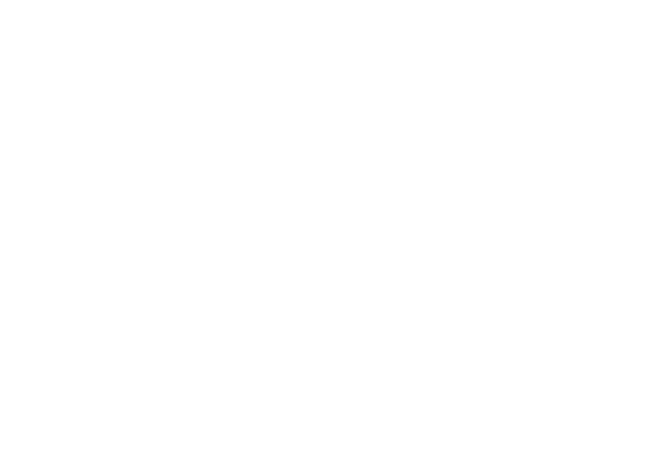 Valiant Esports